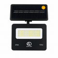 100w Solar Garden Light